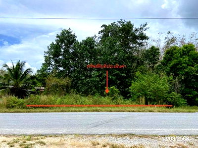 Land for sale Thepha Songkhla : LAND for sale  Tha Muang Thepha Songkhla