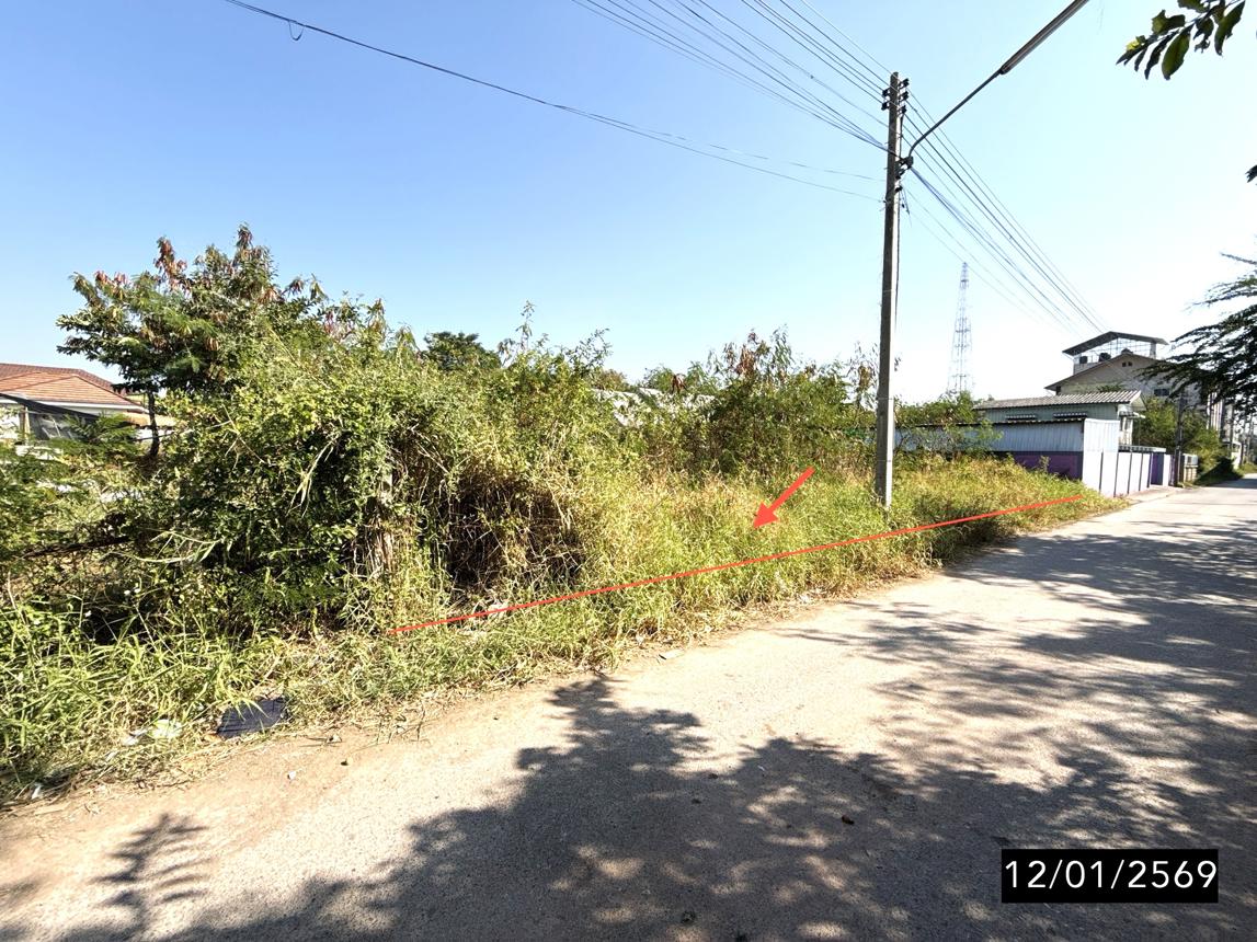 รูป ที่ดินว่างเปล่า สำหรับขาย - ในเมือง เมืองชัยภูมิ ชัยภูมิ - รูปที่ 12/24