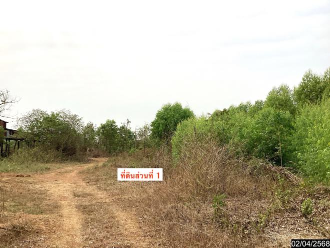 รูป ที่ดินว่างเปล่า สำหรับขาย - วาใหญ่ อากาศอำนวย สกลนคร - รูปที่ 3/20