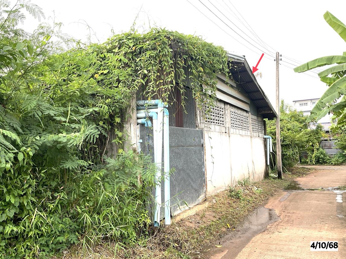 รูป อาคารพาณิชย์ สำหรับขาย - บ้านเป้า เกษตรสมบูรณ์ ชัยภูมิ - รูปที่ 39/44