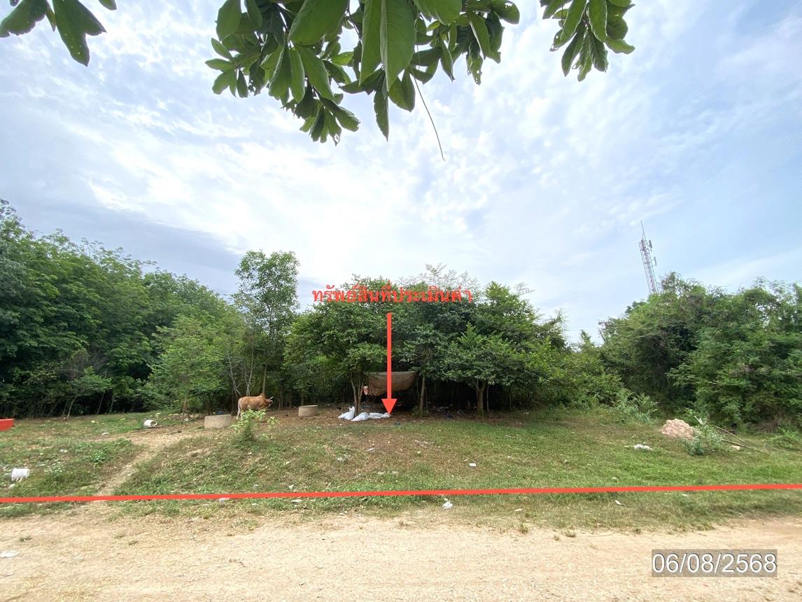 รูป ที่ดินว่างเปล่า สำหรับขาย - บ้านพรุ หาดใหญ่ สงขลา - รูปที่ 7/16