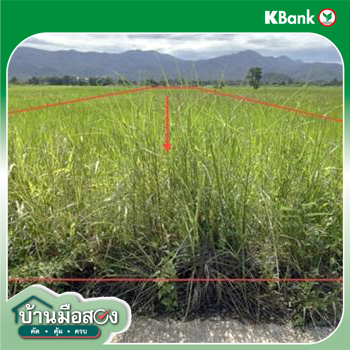 picture LAND for sale  Thung Ruang Thong Chun Phayao - 16/18