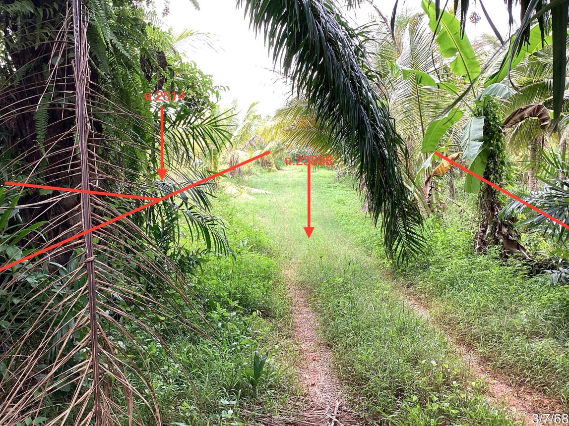 รูป ที่ดินว่างเปล่า สำหรับขาย - พงศ์ประศาสน์ บางสะพาน ประจวบคีรีขันธ์ - รูปที่ 18/32