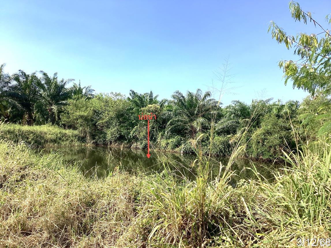 รูป ที่ดินว่างเปล่า สำหรับขาย - อ่าวน้อย เมืองประจวบคีรีขันธ์ ประจวบคีรีขันธ์ - รูปที่ 12/18