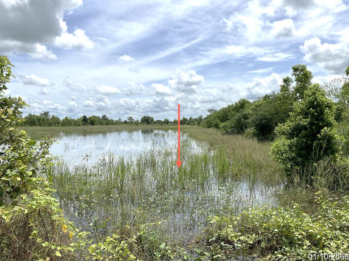 picture LAND for sale Khok Dua Phaisali Nakhon Sawan - 14/22