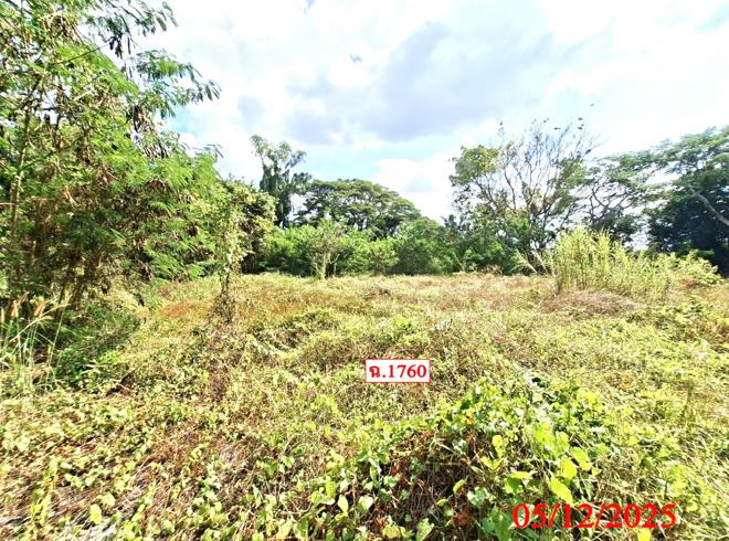 รูป บ้านเดี่ยว สำหรับขาย - ต้นเปา สันกำแพง เชียงใหม่ - รูปที่ 19/44