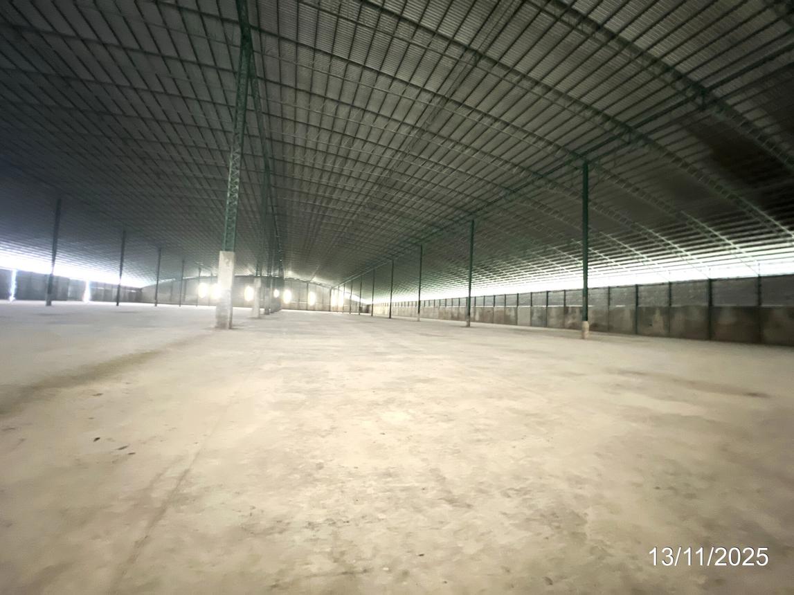 picture FACTORY for sale Phri Nok Yung Han Kha Chainat - 14/24