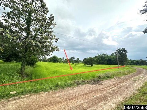 ที่ดินว่างเปล่า 6306 ตร.วา เดชอุดม อุบลราชธานี 1.9M