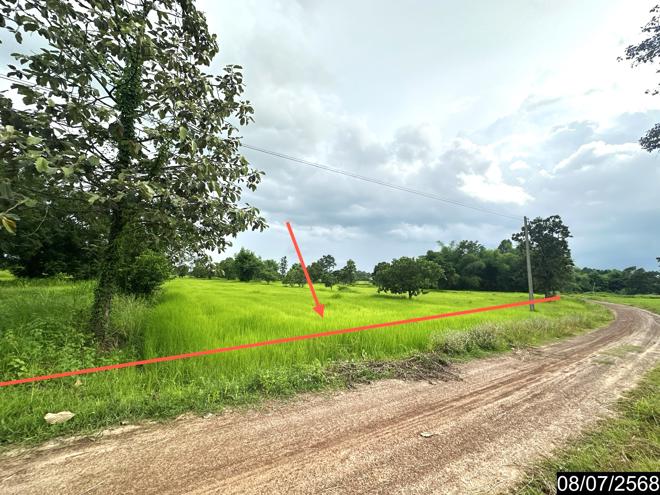 รูป ที่ดินว่างเปล่า สำหรับขาย - คำครั่ง เดชอุดม อุบลราชธานี - รูปที่ 1/22