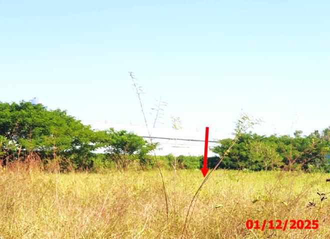 รูป ที่ดินว่างเปล่า สำหรับขาย - ป่าสัก เมืองลำพูน ลำพูน - รูปที่ 3/12