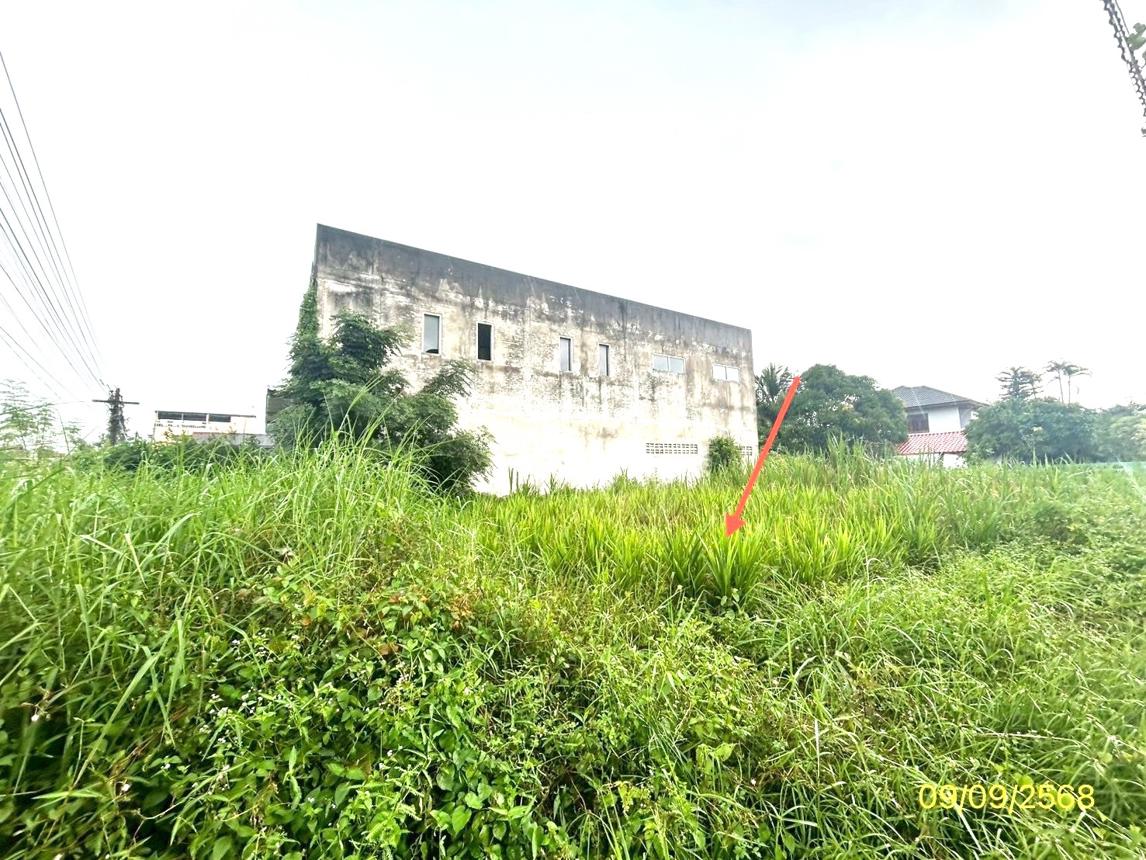 รูป ที่ดินว่างเปล่า สำหรับขาย - เสนางคนิคม เสนางคนิคม อำนาจเจริญ - รูปที่ 14/24