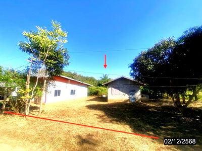 Houses for sale Pak Chom Loei : HOME for sale  Chiang Klom Pak Chom Loei