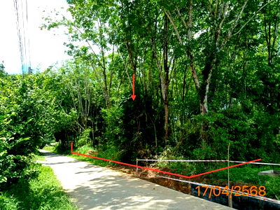 Land for sale Phangnga : LAND for sale  Ko Yao Noi Ko Yao Phangnga