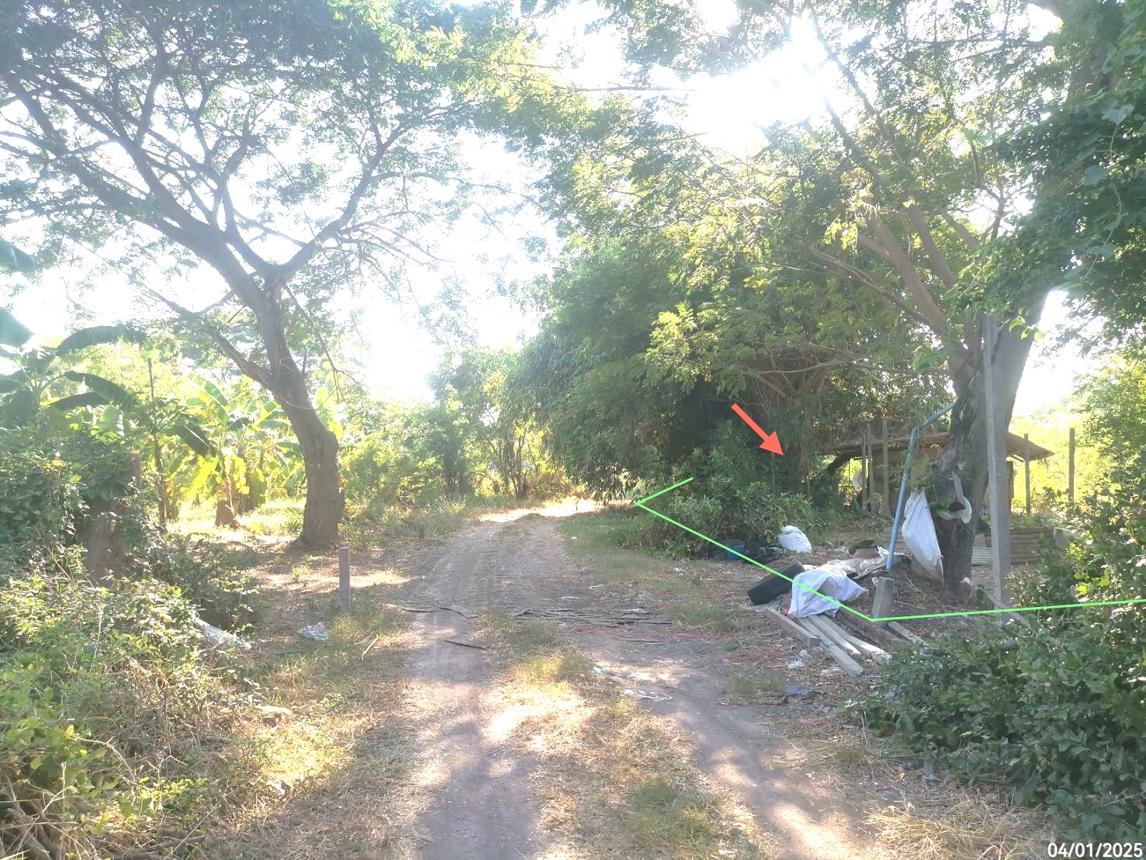 รูป ที่ดินว่างเปล่า สำหรับขาย - เอกราช ป่าโมก อ่างทอง - รูปที่ 11/16