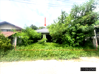 Houses for sale Warin Chamrap Ubon Ratchathani : HOME for sale  That Warin Chamrap Ubon Ratchathani