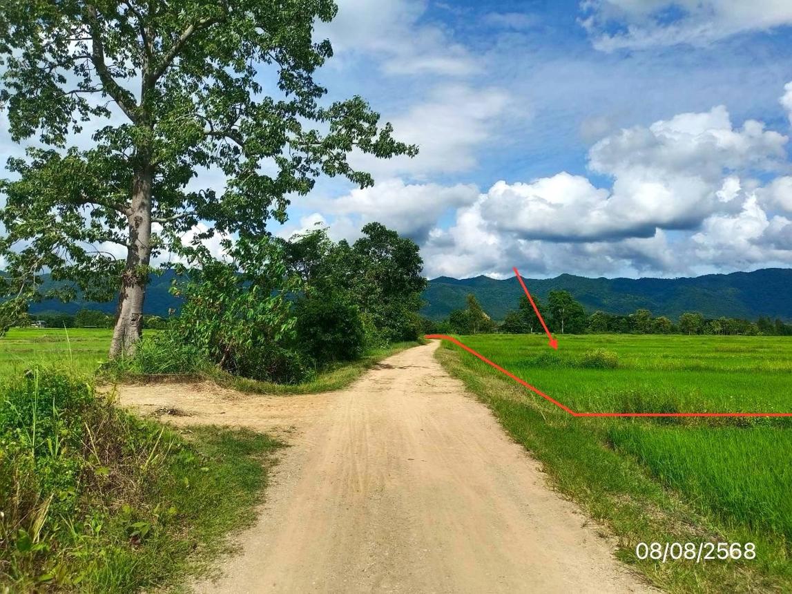 รูป ที่ดินว่างเปล่า สำหรับขาย - สันโค้ง ดอกคำใต้ พะเยา - รูปที่ 14/20