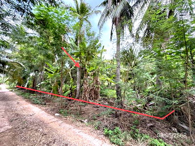 Land for sale Ratchburi : LAND for sale  Don Phai Damnoen Saduak Ratchburi
