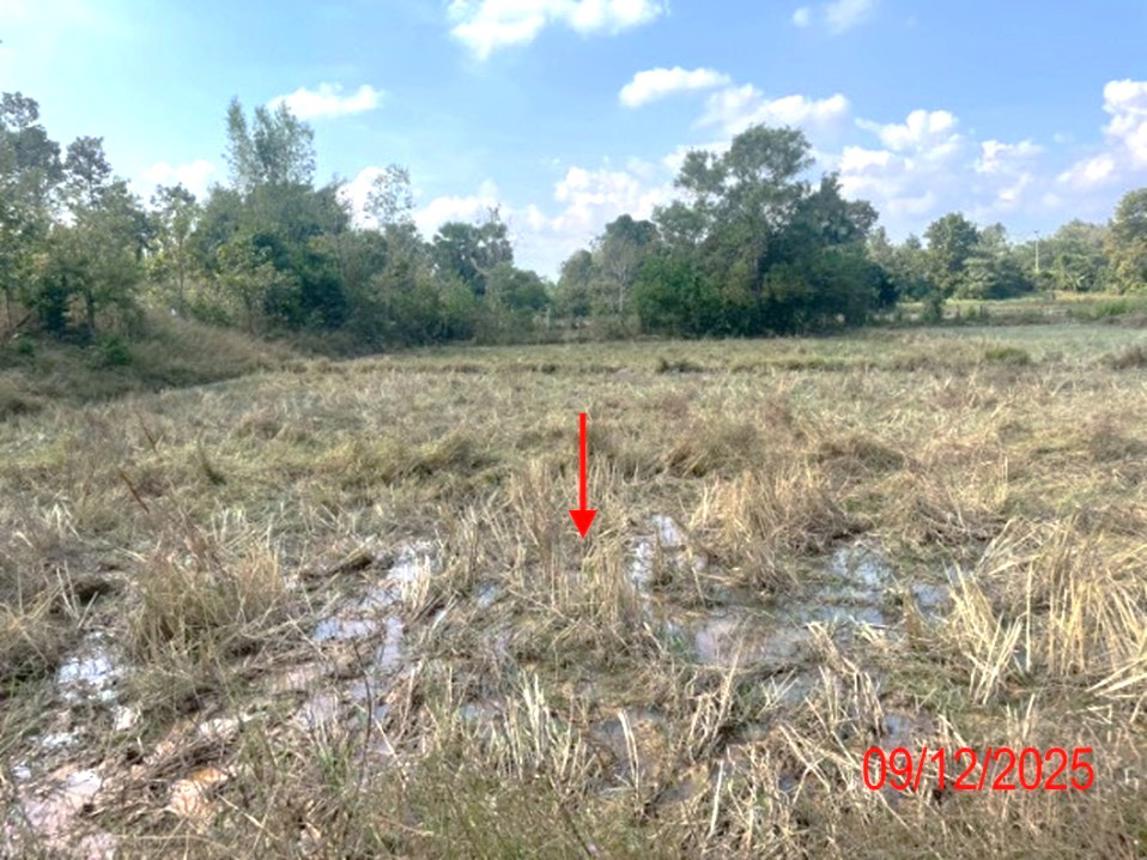 picture HOME for sale Mai Pattana Ko Kha Lamphang - 40/46