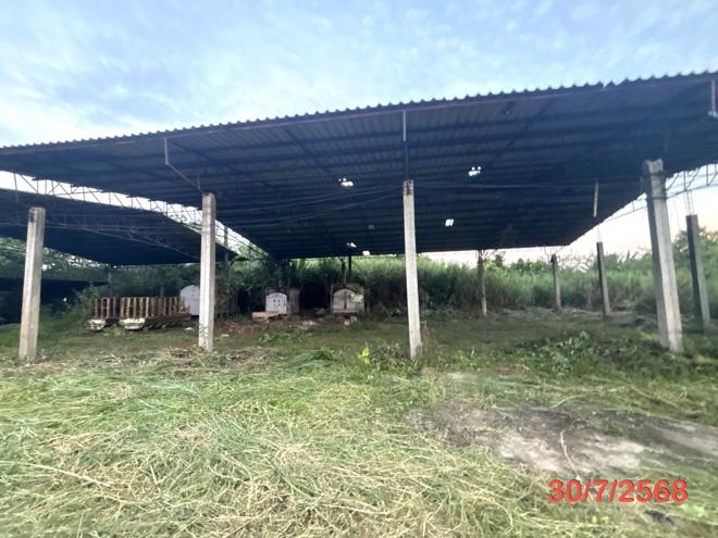 รูป อาคารโรงงาน สำหรับขาย - จันดี ฉวาง นครศรีธรรมราช - รูปที่ 7/24