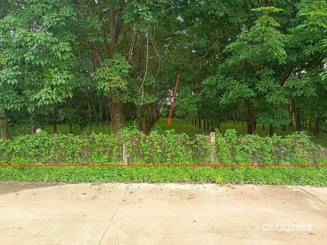 picture LAND for sale  Pasak Phu Sang Phayao - 10/22