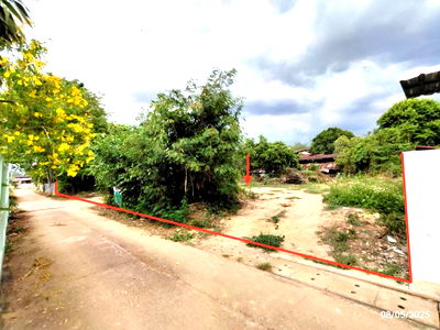 ที่ดิน อุตรดิตถ์ : ที่ดินว่างเปล่า สำหรับขาย - แสนตอ น้ำปาด อุตรดิตถ์