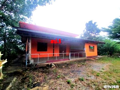 Houses for sale : HOME for sale  Chom Charoen Pak Chom Loei