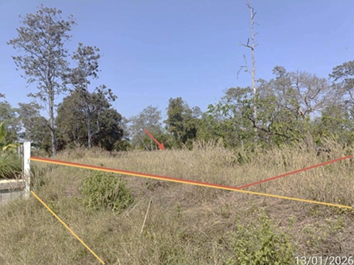 picture LAND for sale  Ko Kaeo Selaphum Roi Et - 8/18