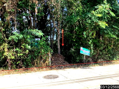 Land for sale : LAND for sale  Bung Kan null Nongkai