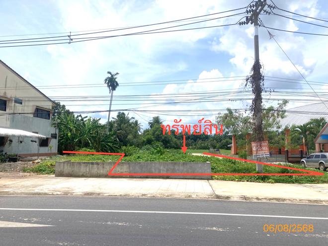 รูป ที่ดินว่างเปล่า สำหรับขาย - กรูด กาญจนดิษฐ์ สุราษฎร์ธานี - รูปที่ 1/18