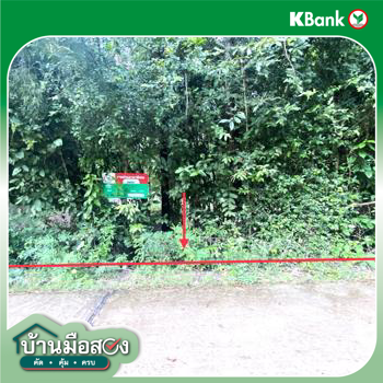 รูป ที่ดินว่างเปล่า สำหรับขาย - นาฝาย ภูผาม่าน ขอนแก่น - รูปที่ 22/24