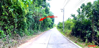 ที่ดิน เมืองภูเก็ต ภูเก็ต : ที่ดินว่างเปล่า สำหรับขาย - เกาะแก้ว เมืองภูเก็ต ภูเก็ต