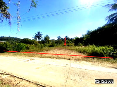 ที่ดิน เลย : ที่ดินว่างเปล่า สำหรับขาย - ปากชม ปากชม เลย