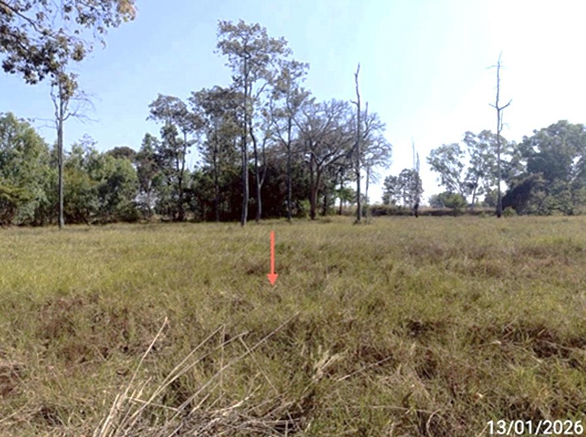 picture LAND for sale  Ko Kaeo Selaphum Roi Et - 13/18