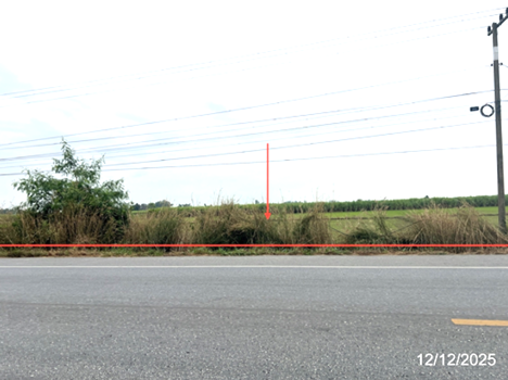 picture LAND for sale  Wang Yang Khlong Khlung Kamphaeng Phet - 13/16