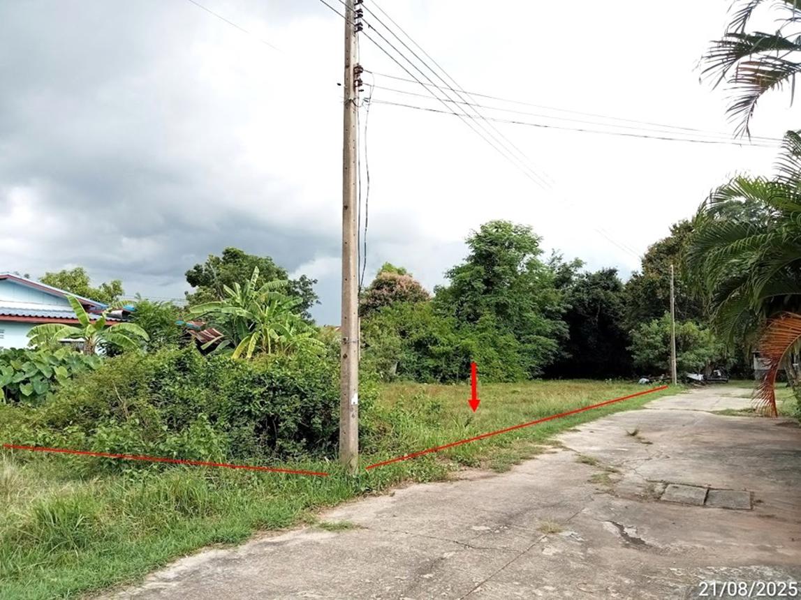 รูป ที่ดินว่างเปล่า สำหรับขาย - ปะคำ ปะคำ บุรีรัมย์ - รูปที่ 13/24