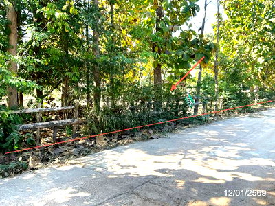 LAND 418 Sq.w. Renu Nakhon Nakhon Phanom for 753,000