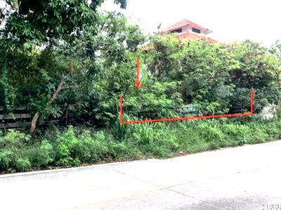 ที่ดิน ม.นานาชาติแสตมฟอร์ด หัวหิน : ที่ดินว่างเปล่า สำหรับขาย กันณิชา หัวหิน หัวหิน ประจวบคีรีขันธ์