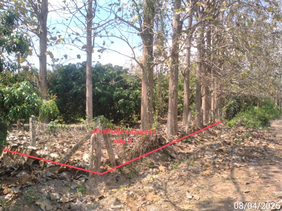 รูป ที่ดินว่างเปล่า สำหรับขาย - ยุหว่า สันป่าตอง เชียงใหม่ - รูปที่ 15/22