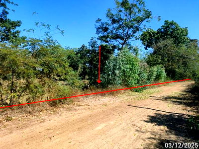 Land for sale Chaturaphak Phiman Roi Et : LAND for sale  Muang Hong Chaturaphak Phiman Roi Et