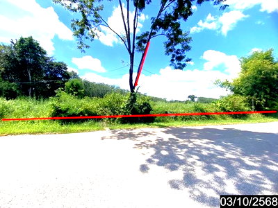 ขายที่ดิน : ที่ดินว่างเปล่า 9195 ตร.วา ศรีวิไล บึงกาฬ 5.5M