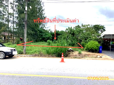 Land for sale Nakhon Sri Thammarat : LAND for sale  Kaeo Saen Na Bon Nakhon Sri Thammarat