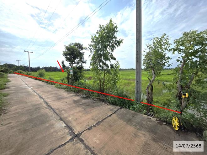 รูป ที่ดินว่างเปล่า สำหรับขาย - ท่าลาด เรณูนคร นครพนม - รูปที่ 4/26