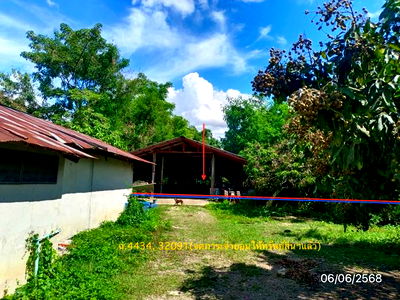 Factory for sale Chiang Rai : FACTORY for sale  Wiang Nua Wiang Chai Chiang Rai