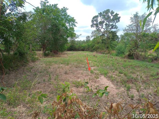 รูป ที่ดินว่างเปล่า สำหรับขาย - หนองเมือง ม่วงสามสิบ อุบลราชธานี - รูปที่ 8/24
