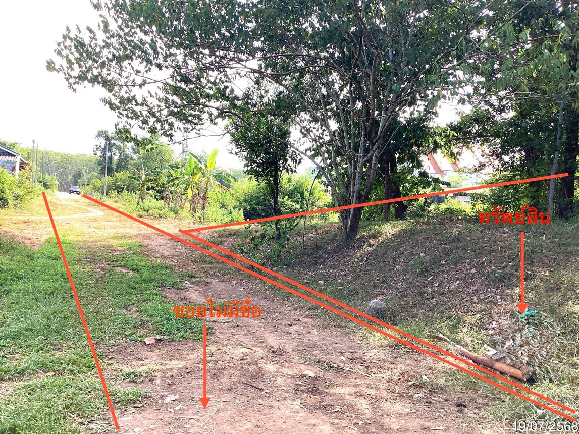 รูป ที่ดินว่างเปล่า สำหรับขาย - บ้านพรุ หาดใหญ่ สงขลา - รูปที่ 10/16