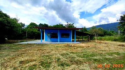 บ้านเดี่ยว ศรีราชา ชลบุรี : บ้านเดี่ยว สำหรับขาย - บางพระ ศรีราชา ชลบุรี