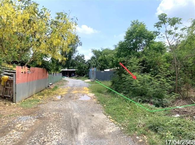 picture LAND for sale  Nong Pling Nong Khae Saraburi - 6/16