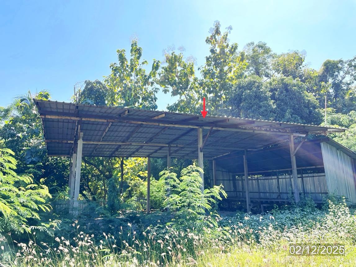 รูป โกดัง สำหรับขาย - ท่าฉนวน กงไกรลาศ สุโขทัย - รูปที่ 40/46