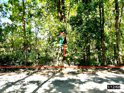 Land for sale Khon Kaen : LAND for sale  Non Sa-at Chum Phae Khon Kaen