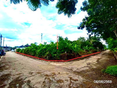 Land for sale Dok Kham Tai Phayao : LAND for sale  Don Sri Chum Dok Kham Tai Phayao